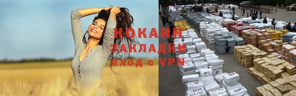 круглые Аркадак