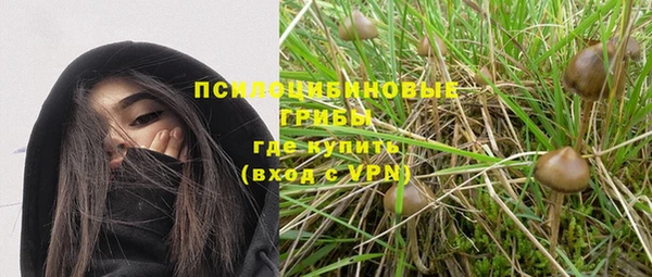 круглые Аркадак