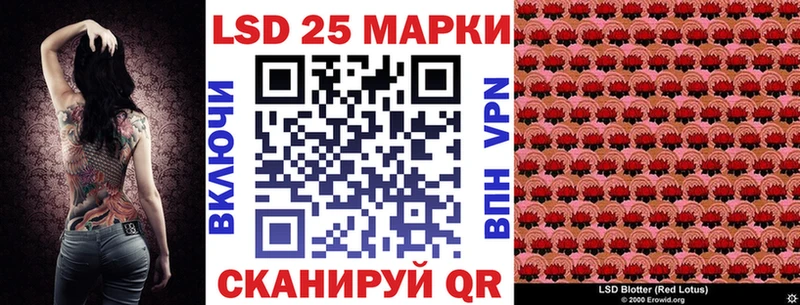 купить  цена  Аркадак  Марки N-bome 1,5мг 